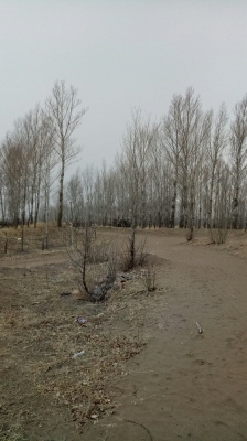 赤峰市敖漢旗燈籠會館電話號碼-第1張圖片