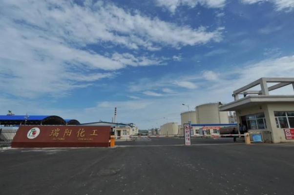 赤峰包谷種子銷售公司電話號(hào)碼-第1張圖片