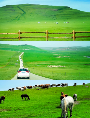 赤峰市包車電話-第1張圖片