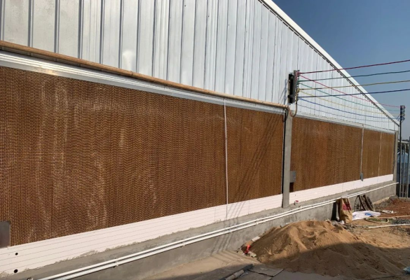 赤峰農(nóng)村收豬廠電話地址查詢-第1張圖片