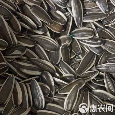 赤峰收售葵花籽電話號(hào)碼-第1張圖片