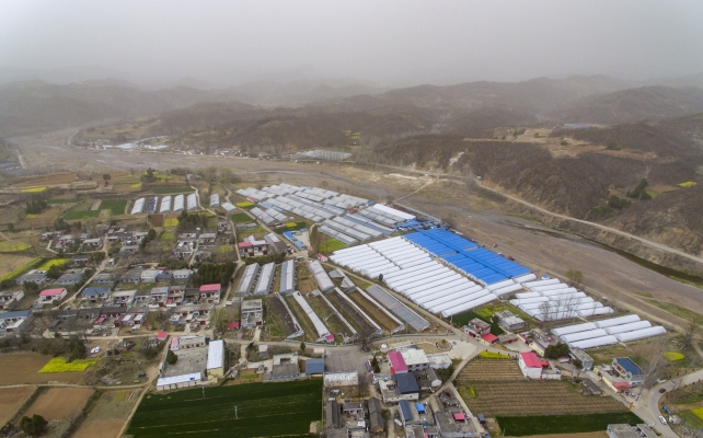 魯山縣赤峰鎮(zhèn)政府電話號(hào)碼-第1張圖片