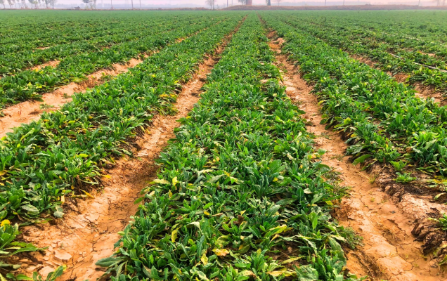 赤峰草畜平衡養(yǎng)殖基地電話號碼-第1張圖片