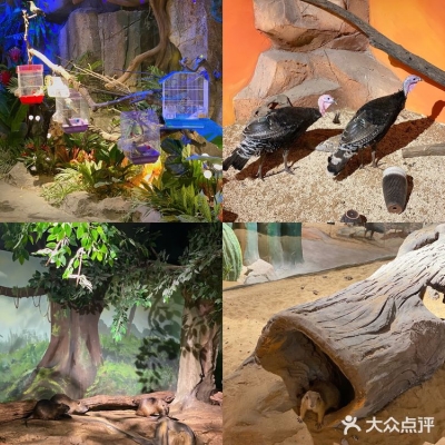 赤峰探店動物園電話號碼-第1張圖片