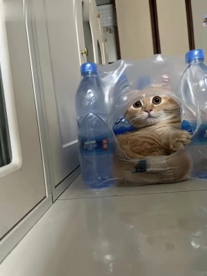 赤峰送水貓電話客服號(hào)碼是多少-第1張圖片