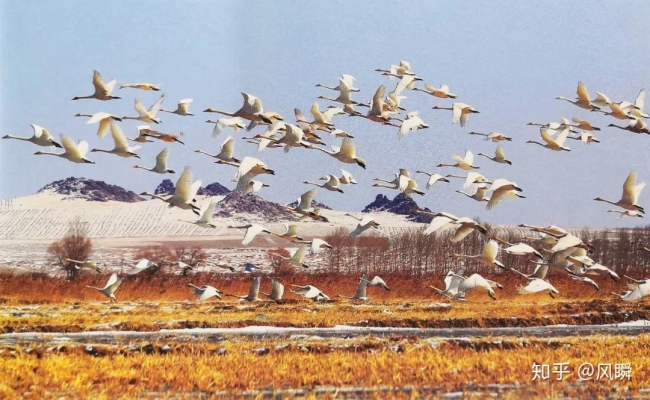 赤峰小天鵝專賣店電話號(hào)碼-第1張圖片