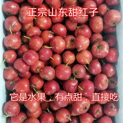 赤峰小糖葫蘆批發(fā)電話號(hào)碼-第1張圖片