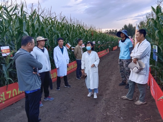 赤峰賣玉米的電話號(hào)碼是多少-第1張圖片