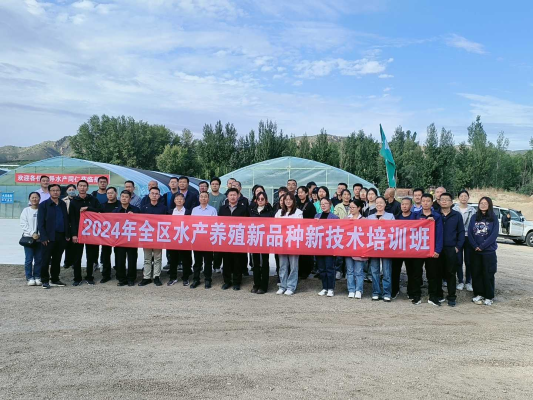 赤峰美術(shù)興趣班電話多少號-第1張圖片