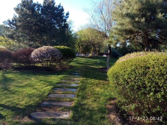 赤峰元寶山殯儀館電話號(hào)碼-第1張圖片