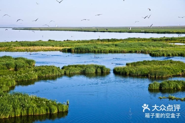 赤峰海達(dá)送貨上門電話號碼-第1張圖片