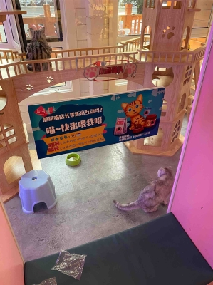 赤峰新華書店大賣場電話號碼-第1張圖片