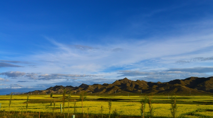 赤峰晨美家政團(tuán)購(gòu)電話號(hào)碼-第1張圖片