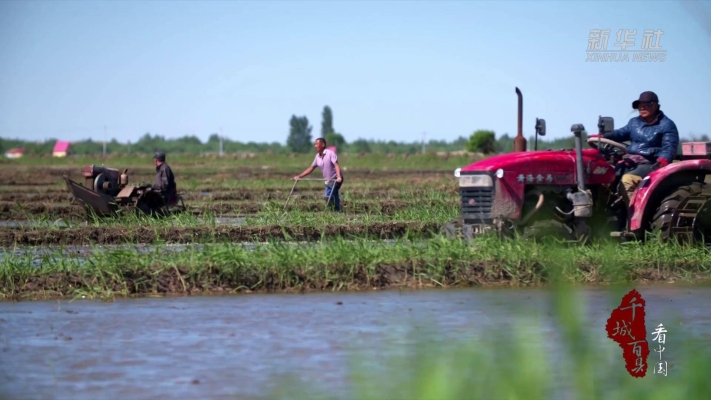 赤峰市水稻收購電話地址查詢-第1張圖片