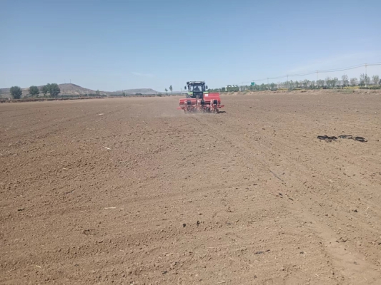 赤峰市玉米加工企業(yè)電話號(hào)碼-第1張圖片