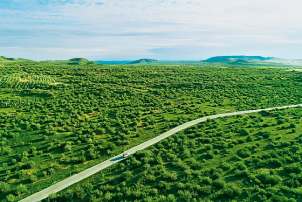 赤峰雙慶紙板廠地址電話號碼-第1張圖片