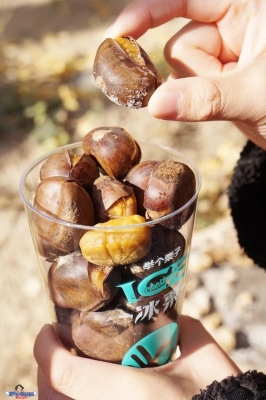 赤峰好吃的栗子店電話號碼-第1張圖片