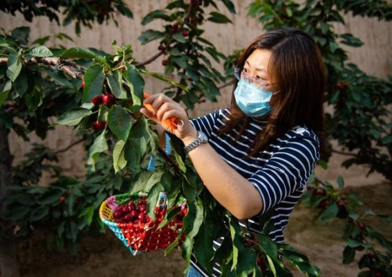 赤峰達人帶貨電話是多少號-第1張圖片