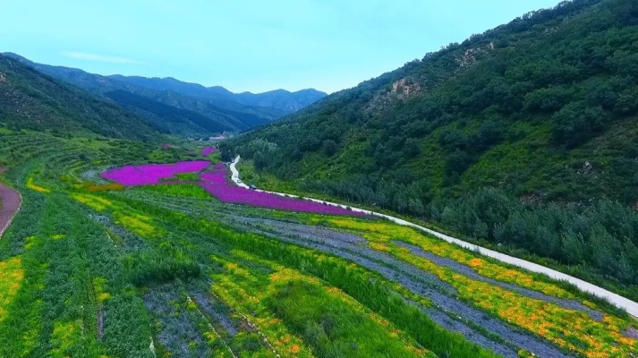 遼陽到赤峰的拼車電話號碼-第1張圖片