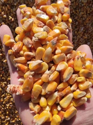 赤峰松山區(qū)煙草公司電話是多少-第1張圖片