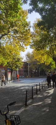 天津赤峰道香料店電話號(hào)碼-第1張圖片