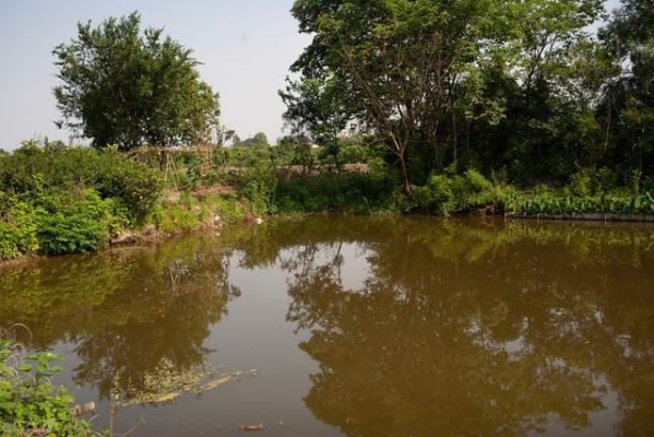 赤峰承包魚塘電話號碼查詢是多少-第1張圖片