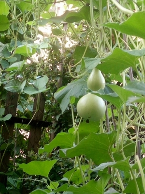 赤峰錦山賓館土菜館電話(huà)號(hào)碼-第1張圖片