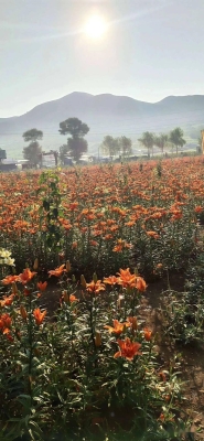 赤峰牛營子水暖維修電話號碼-第1張圖片