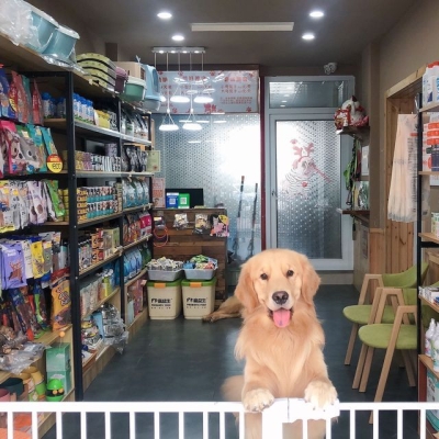 赤峰諾比寵物店電話號碼-第1張圖片