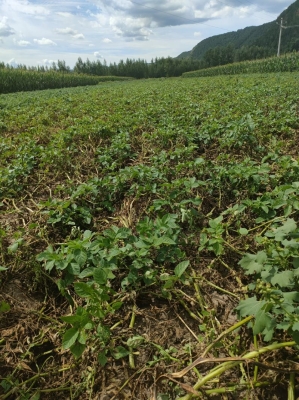 赤峰元澤食品廠電話號碼-第1張圖片