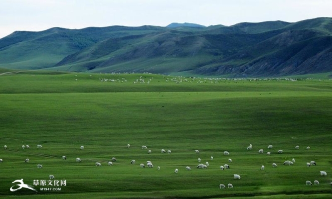 赤峰天山防疫站電話-第1張圖片
