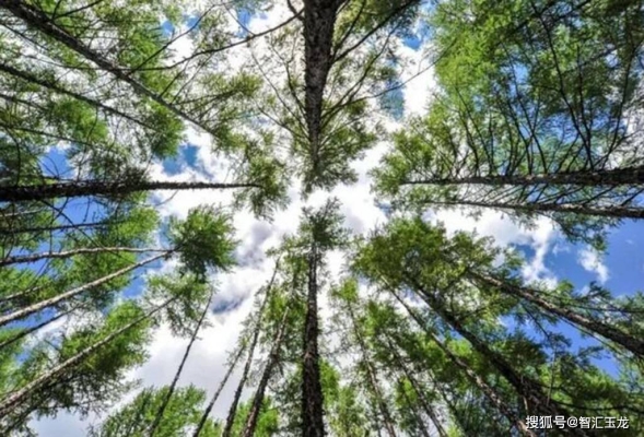 赤峰景區(qū)管理房地產(chǎn)電話號(hào)碼-第1張圖片