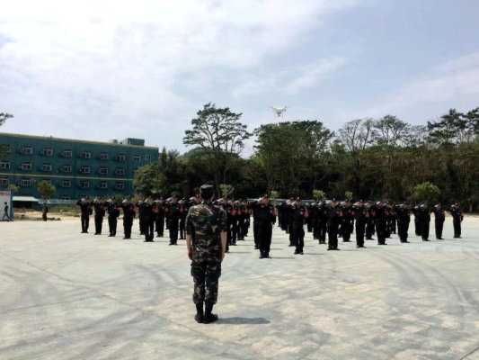 赤峰市維安保安電話(huà)號(hào)碼-第1張圖片