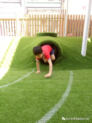 赤峰博苑幼兒園電話號碼-第1張圖片