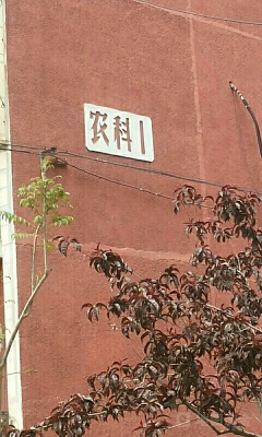 赤峰市農(nóng)研所電話號碼-第1張圖片