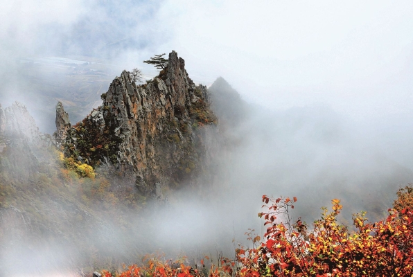 赤峰久尊定制電話號(hào)碼查詢-第1張圖片