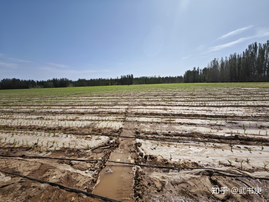 赤峰宰牛羊屠宰場(chǎng)電話(huà)號(hào)碼-第1張圖片