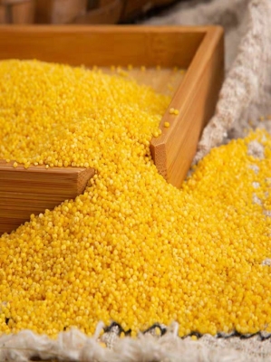 赤峰小米吉茸甄選店電話號(hào)碼-第1張圖片