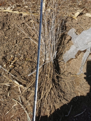 赤峰廢機(jī)油出售電話號碼查詢-第1張圖片