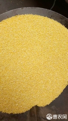 林西赤峰小米售后電話號碼查詢-第1張圖片