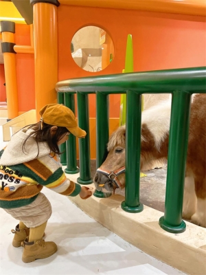 赤峰城市萌寵酒店地址電話號(hào)碼-第1張圖片