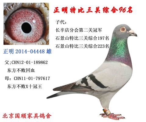 赤峰中信國金電話號(hào)碼查詢-第1張圖片