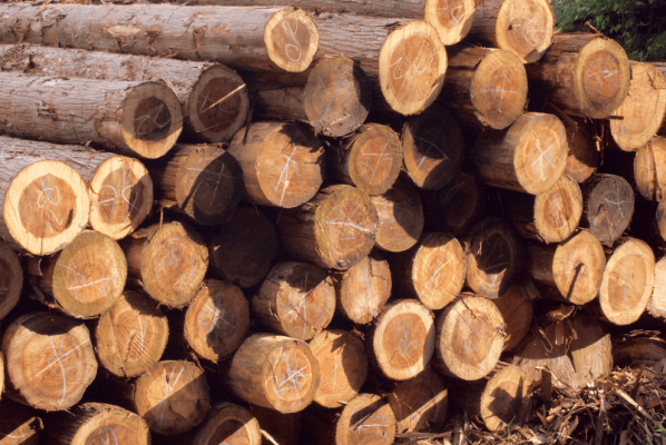 赤峰檜木團(tuán)購電話號碼查詢-第1張圖片