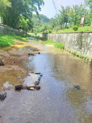 赤峰紅山區(qū)旅游景區(qū)電話號(hào)碼-第1張圖片