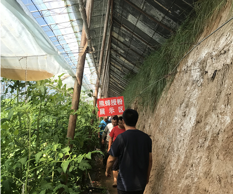 赤峰4個(gè)番茄基地電話號(hào)碼-第1張圖片