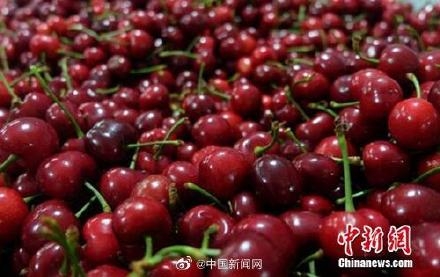 赤峰銷售進口水果電話號碼-第1張圖片