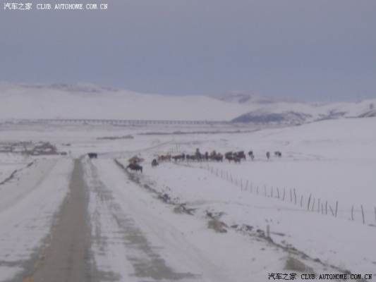 赤峰到白音華客車(chē)-第1張圖片