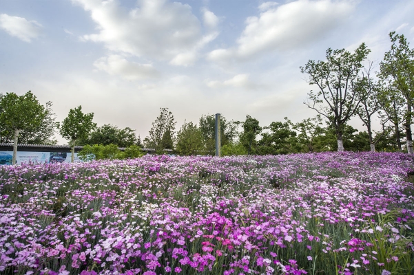 赤峰利豐花園電話號(hào)碼查詢-第1張圖片