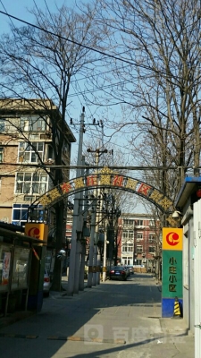 赤峰小區(qū)椰子樹社區(qū)電話號碼-第1張圖片