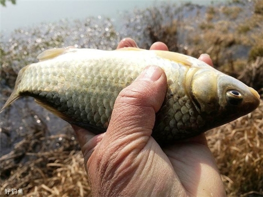 赤峰紅山水庫垂釣點電話號碼-第1張圖片